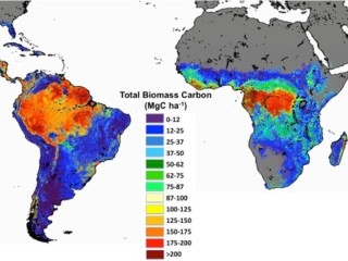 Remove carbon from the air