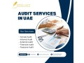 professional-audit-services-in-dubai-uae-intellect-chartered-accountants-small-0