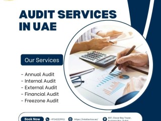 Professional Audit Services in Dubai, UAE - Intellect Chartered Accountants