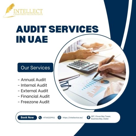 professional-audit-services-in-dubai-uae-intellect-chartered-accountants-big-0