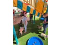 expert-dog-training-in-los-angeles-south-park-doggie-land-small-0