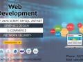 e-commerce-web-development-in-pakistan-small-0