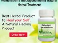 natural-herbal-remedies-for-waldenstroms-macroglobulinemia-small-0