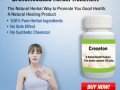 herbal-treatment-for-bronchiectasis-small-0