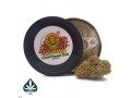 strawberry-afghan-by-gas-demon-indica-dominant-hybrid-aaaa-small-0