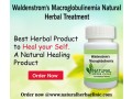 natural-remedies-for-waldenstroms-macroglobulinemia-small-0
