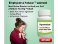 natural-treatment-for-emphysema-small-0