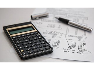 Professional Accounting & Tax Services in Tampa, Florida