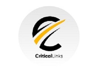 Critical Links