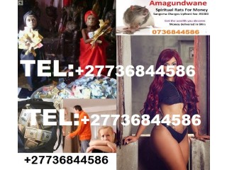 Instant money spell to make you rich call baba wanjimba+27736844586