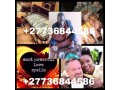 most-trusted-love-spells-caster-27736844586-in-south-africa-small-0